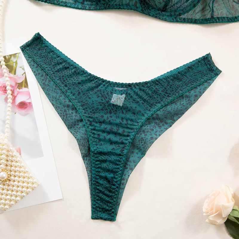 2pcs/Set Woman Lingerie Gather - Sheer Mesh Bra recensione e prezzo